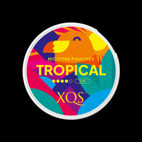 XQS Tropical-8MG